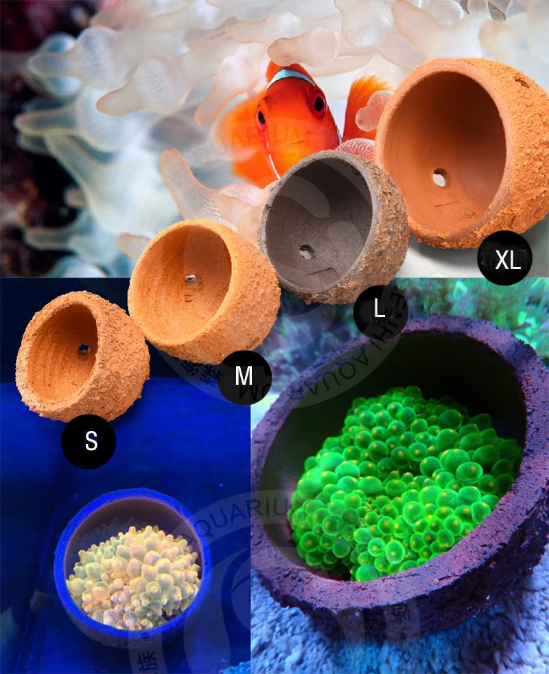 Anemone Nest Prevent Running Away Clay and Live Rock Made for Aquarium Reef Tank