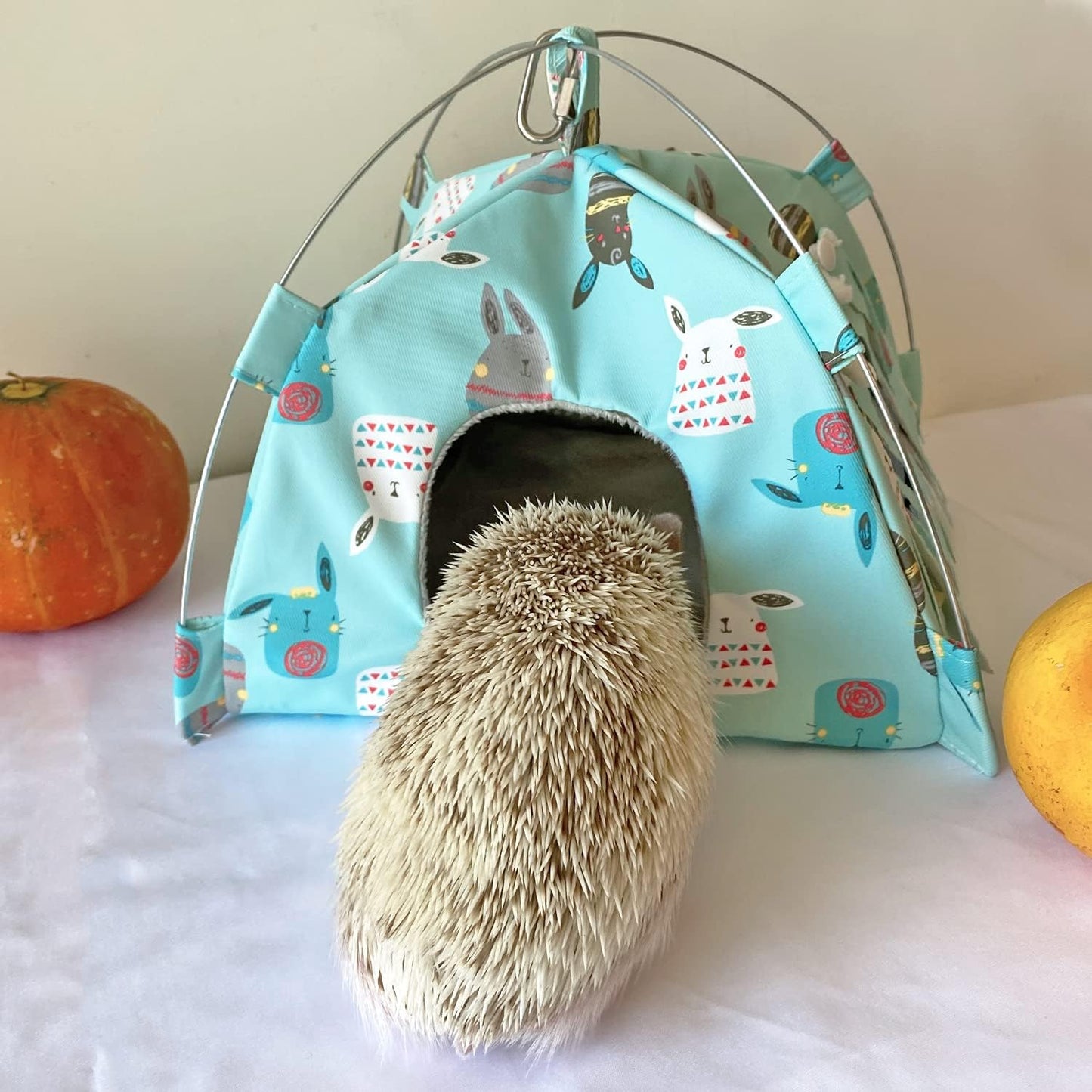 Portable Small Animal Tents House Cave Habitat Hideout with Forest Hidey Curtain for Hamster/Mice/Gerbil Rats/Guinea Pigs Hedgehog Nest Cushion Beds (Blue)