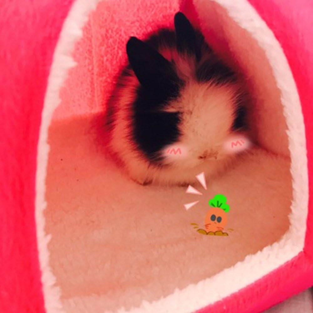 Rabbit Guinea Pig Hamster House Bed Cute Small Animal Pet Winter Warm Squirrel Hedgehog Chinchilla House Cage Nest Hamster Accessories (9X9X10 Inch (Pack of 1), A-Red)