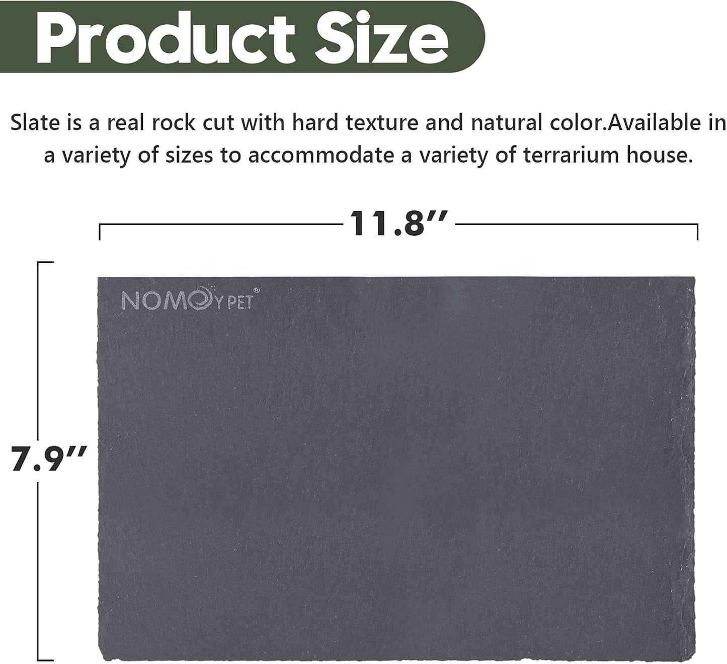 Reptile Basking Platform, Tortoise Feeding Food Dish, Reptile Food Dish Grinding Nail Landscape Habitat Decor for Lizard Bearded Dragon Turtle Crested Gecko Snake(11.8" X 7.9")