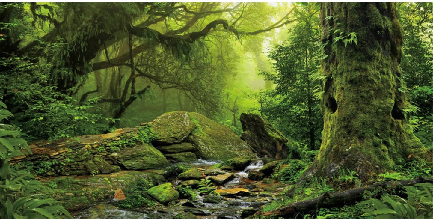 Tropical Forest Terrarium Background Stream Green Huge Tree Reptile Habitat Background Foggy Rainforest Aquarium Background 30X18 Inches Polyester Background