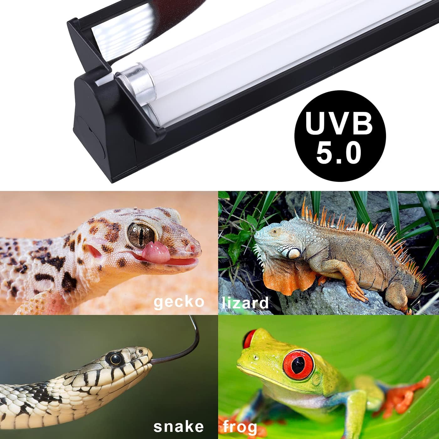 T5 UVB Lighting Combo Kit 24W - T5 UVB Reptile Light Fixture and T5 5.0