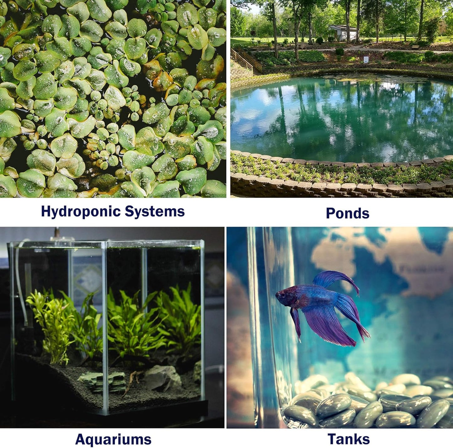 4 Pieces 4 Inch Air Stone Disc Bubbler Diffuser with 12 Pieces Suction Cups for Aquarium Hydroponics Fish Tank Air Pump round Aquarium Air Stone Kit
