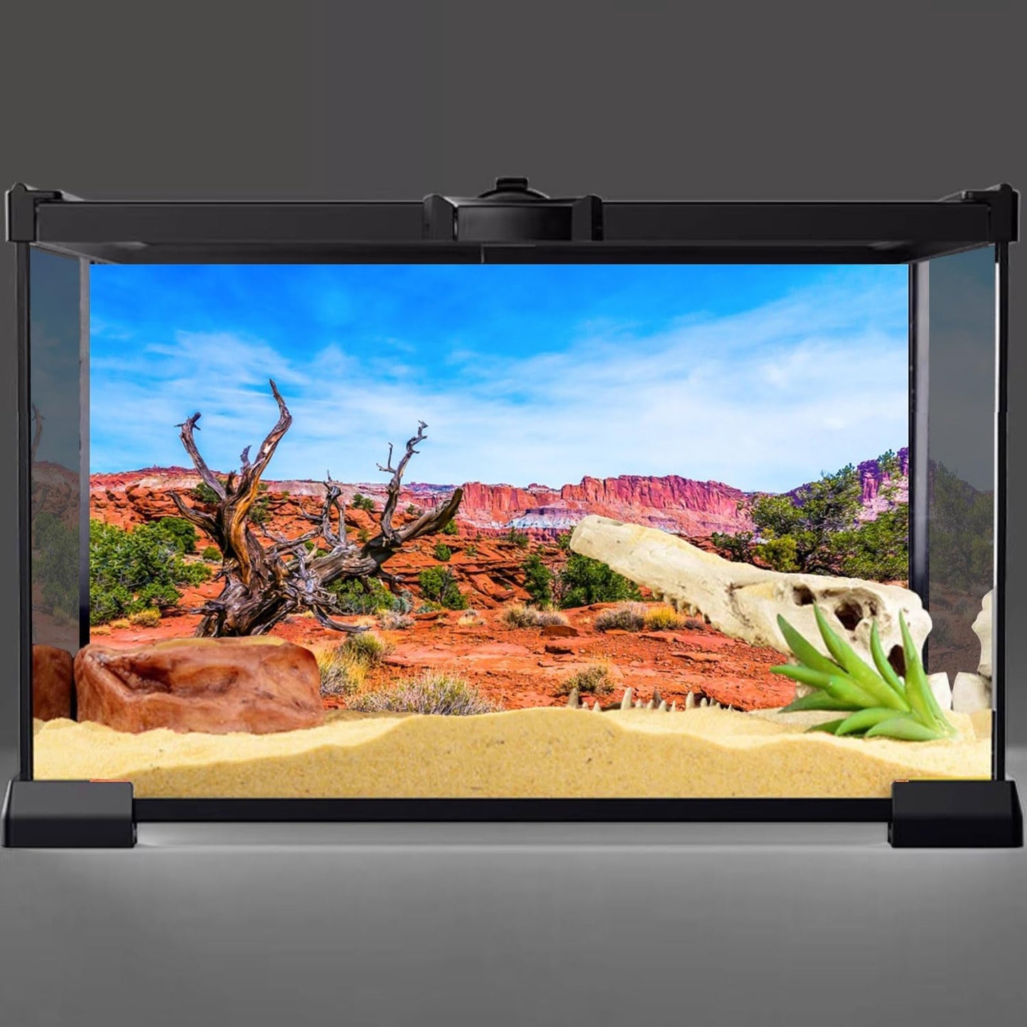 36X18 Inches Reptile Habitat Background Blue Sky Oasis Orange Desert Terrarium Background Durable Polyester Background