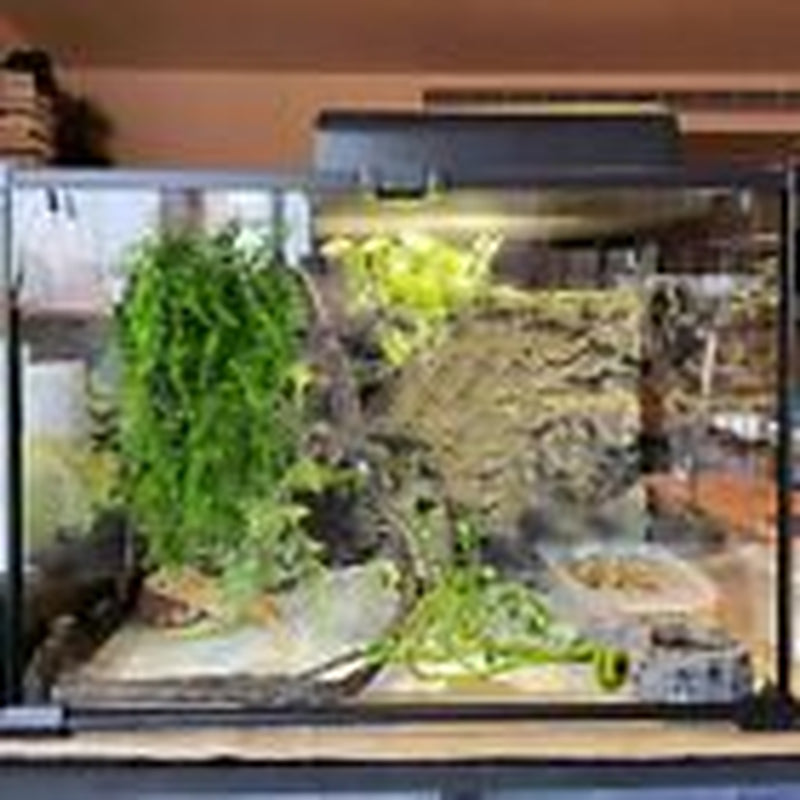 Reptile Vines Plants for Terrarium, Flexible Vines Jungle Climbing Branch