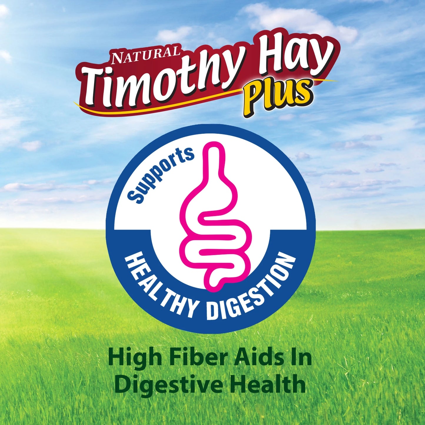Timothy Hay plus Rose & Thyme 24 Oz