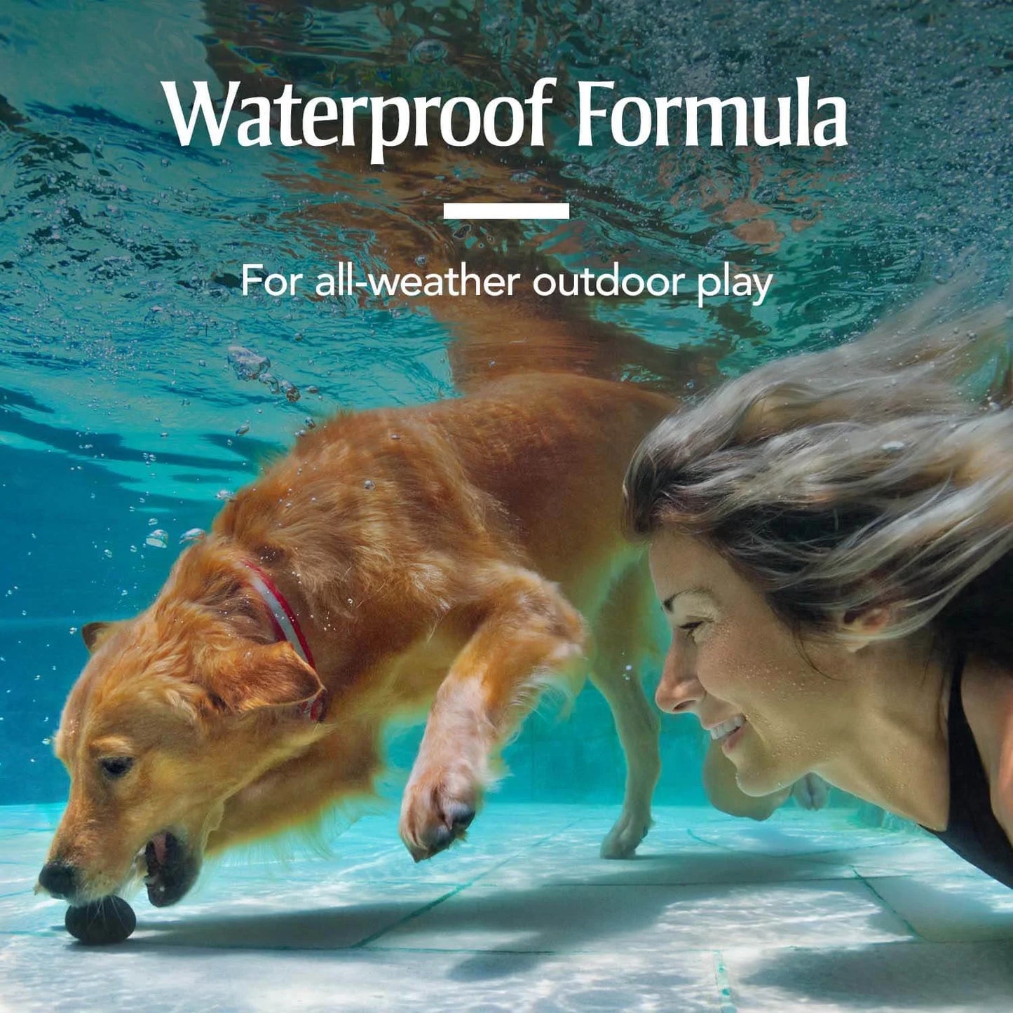 Flea & Tick Treatment for Large Dogs, 45 to 88 Pounds, 3 Monthly Applications