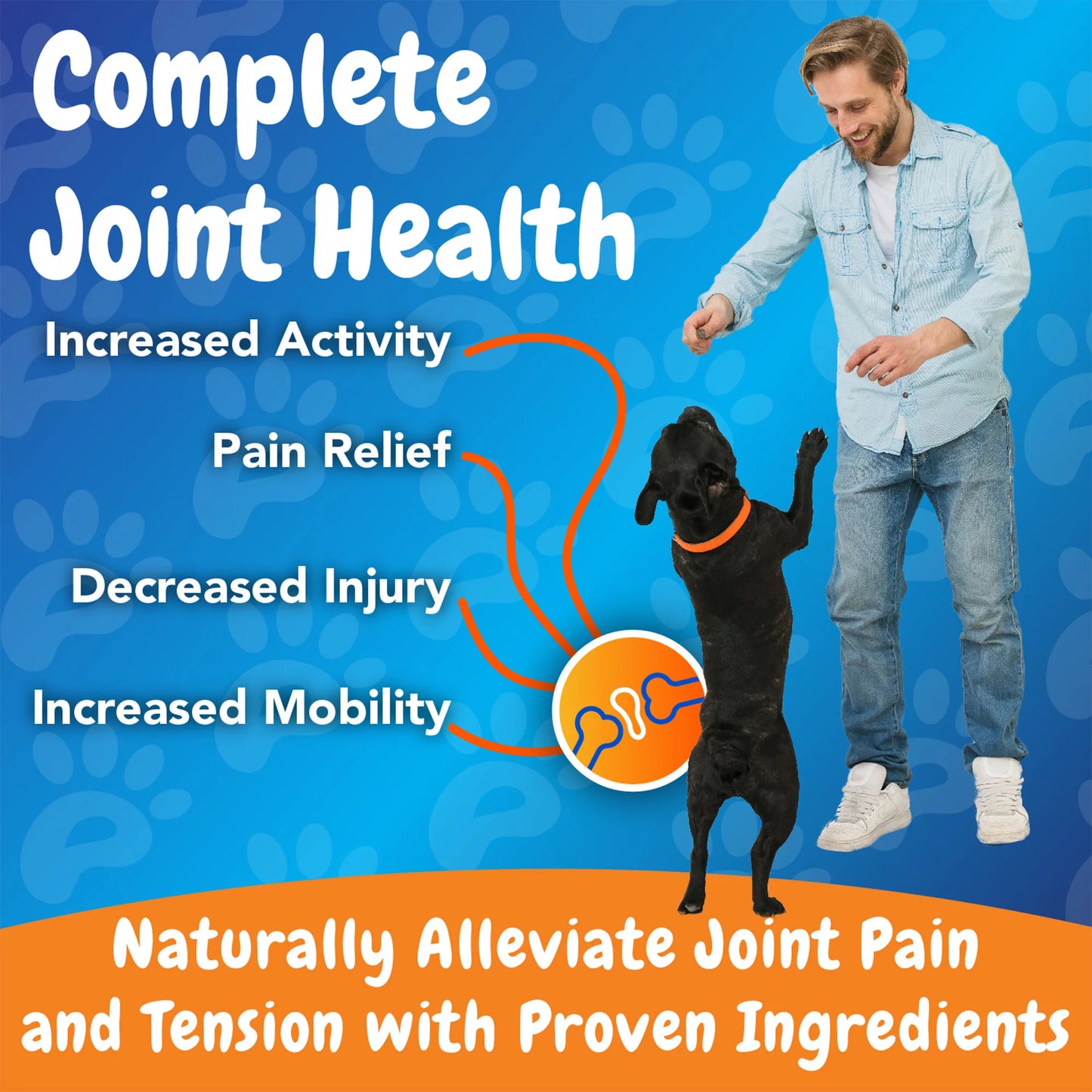 Turmeric Hip & Joint Chewable Tablets for Dogs - Maximum Strength - MSM - anti Inflammatory - Pain Relief - Joint Health - 60 Chewable Tablets