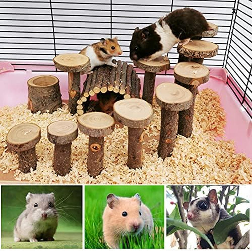 Hamster Wooden Cage Toy Sets, Small Pets Wooden Climbing Ladders, Hamsters Chewing Toys for Sugar Glider, Mouse, Chinchilla, Rat, Gerbil and Dwarf Hamster, Apple-Wood Play Ground for Small Animal