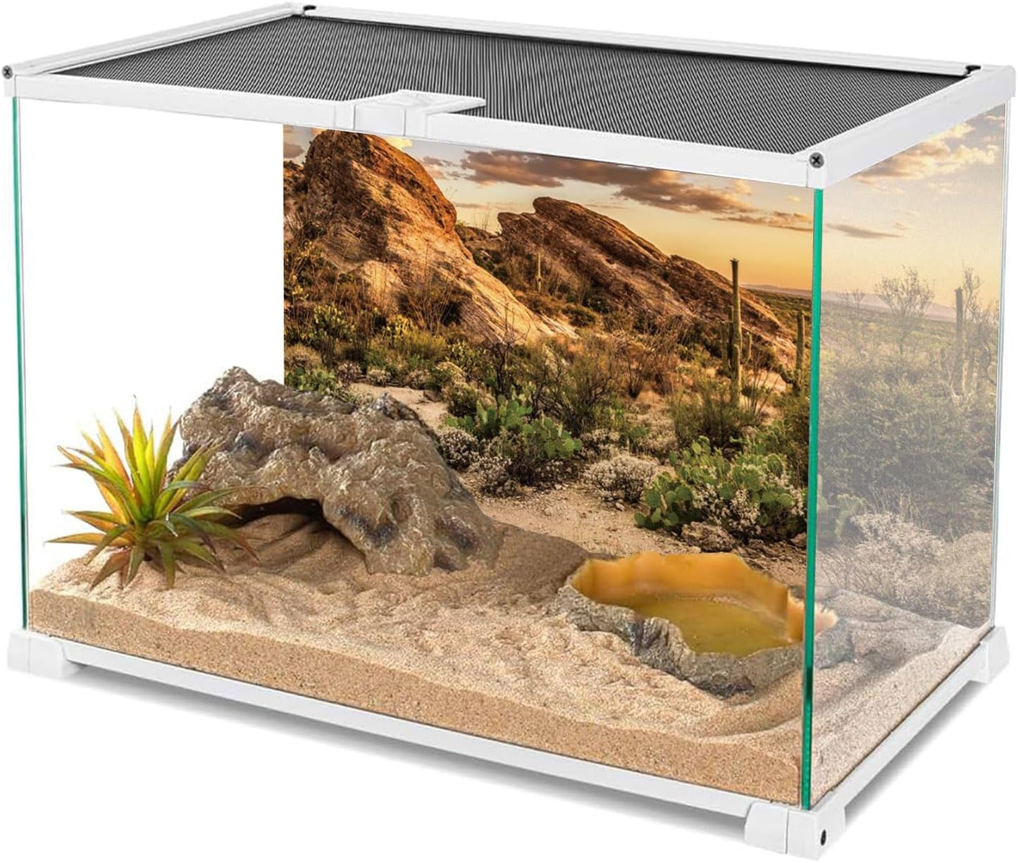 Reptile Habitat Background Blue Sky Oasis Cactus Sun and Desert Terrarium Background 36X24 Inches Durable Polyester Background