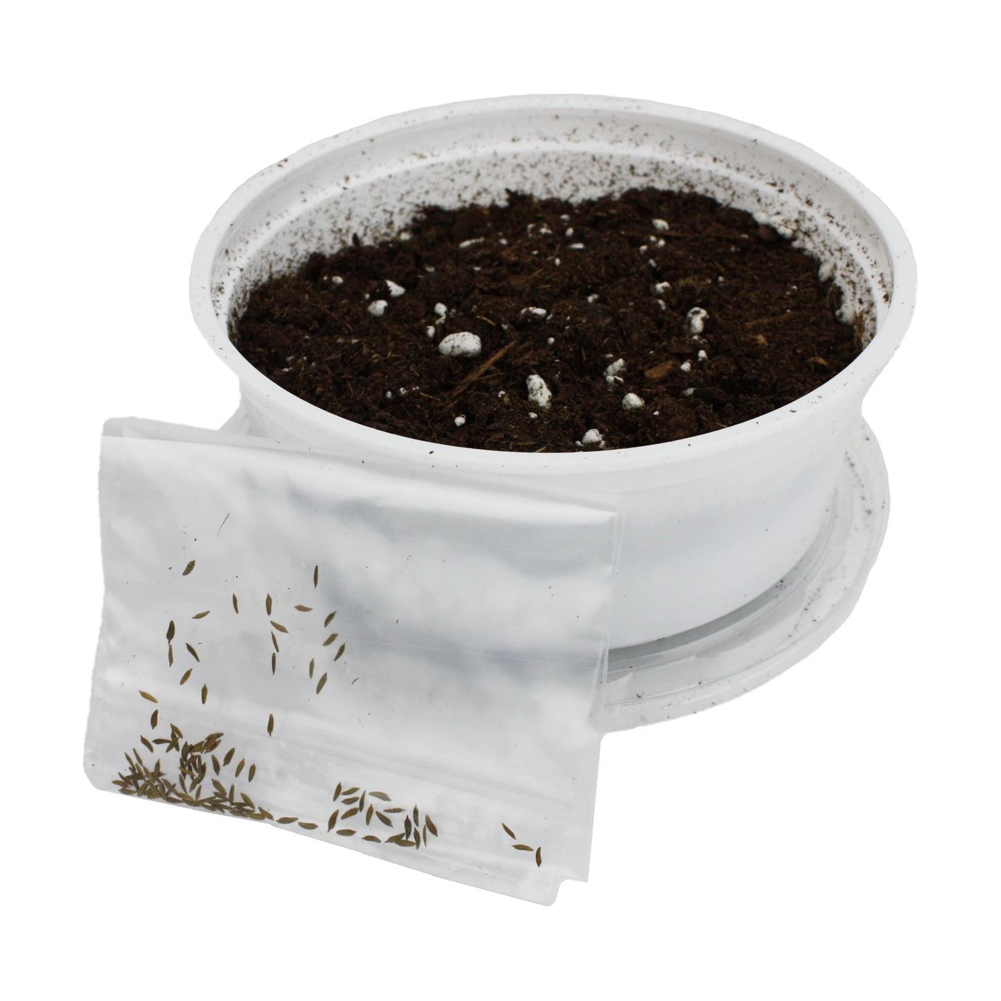 Grow Your Own Dandelion Reptile Food Kit , White Cup with Brown Soil and Dandelion Seeds