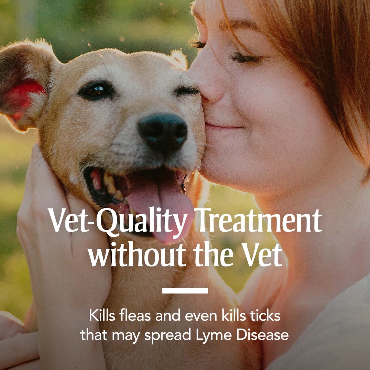 Flea & Tick Treatment for Large Dogs, 45 to 88 Pounds, 3 Monthly Applications