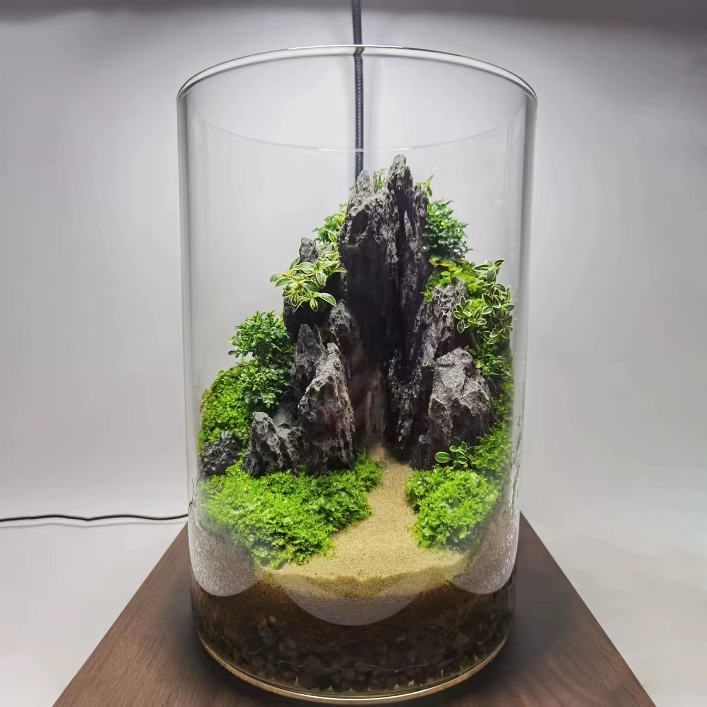 FZONE Aquarium Resin Seiryu Stone Model PH Nature Aquarium Rocks for Aquascaping, Micro-Landscapes
