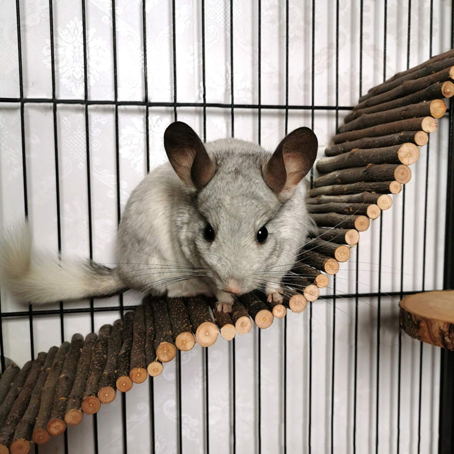 Hamster Chew Toys, 8 Pack Squirrels Toy Wooden Guinea Pig Gerbils Chinchillas Hammock Toys Accessories Ladder Natural Hideout Dumbbells Exercise Roller Teeth Care Molar Toy for Small Animals