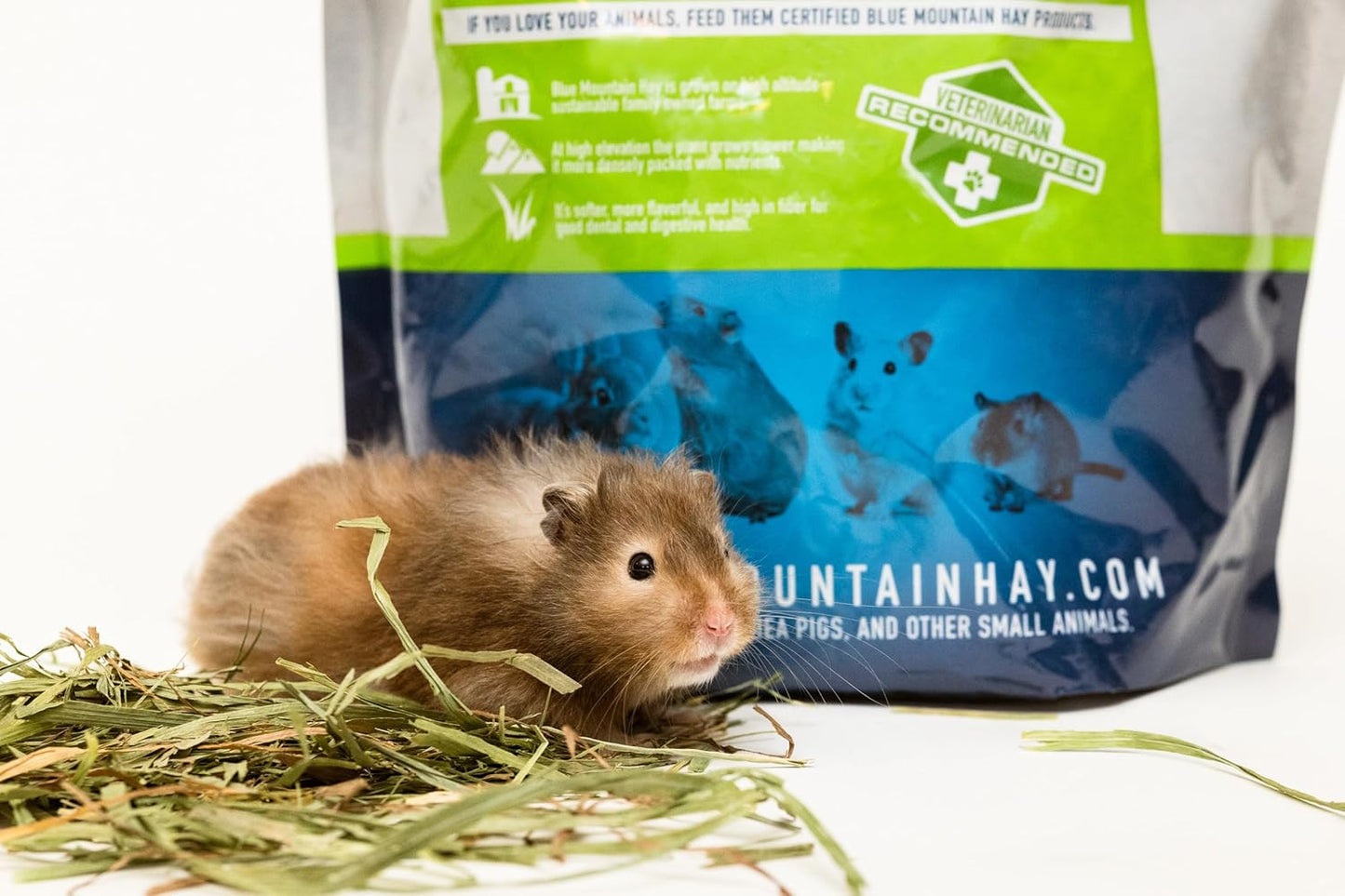 Blue Mountain 'High Altitude' Timothy Hay Pet Food for Rabbits, Chinchillas, Guinea Pigs, Hamsters and Other Small Pets. Naturally Grown with Fiber to Support Digestive Health (25 Lb)