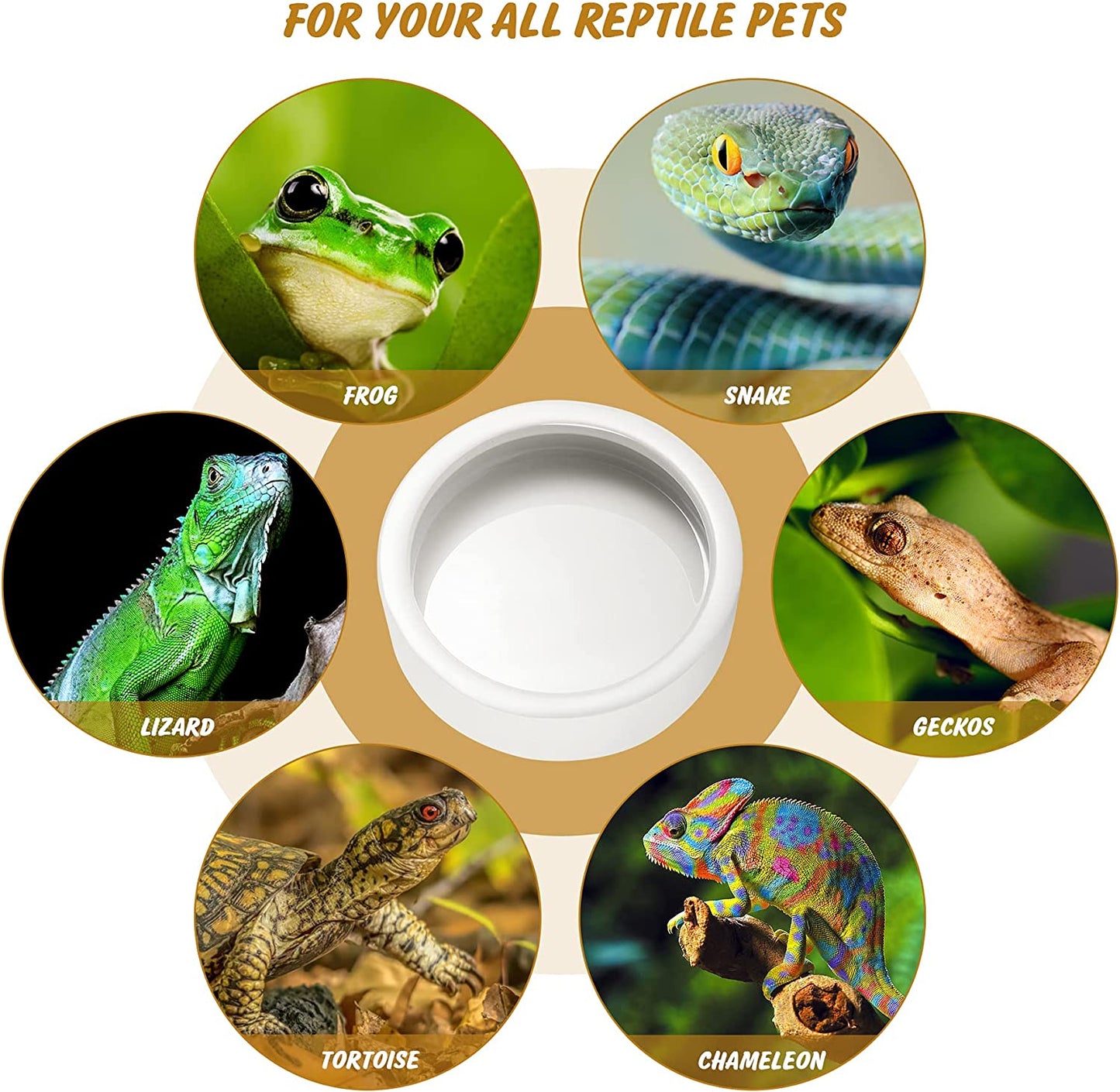 Worm Dish - Large 2 Pcs Reptile Food Water Bowl Lizard Gecko Ceramic Pet Bowls, Mealworms Bowl for Bearded Dragon Chameleon Hermit Crab Dubia Rock Reptile Cricket Dish Anti-Escape Mini Reptile Feeder