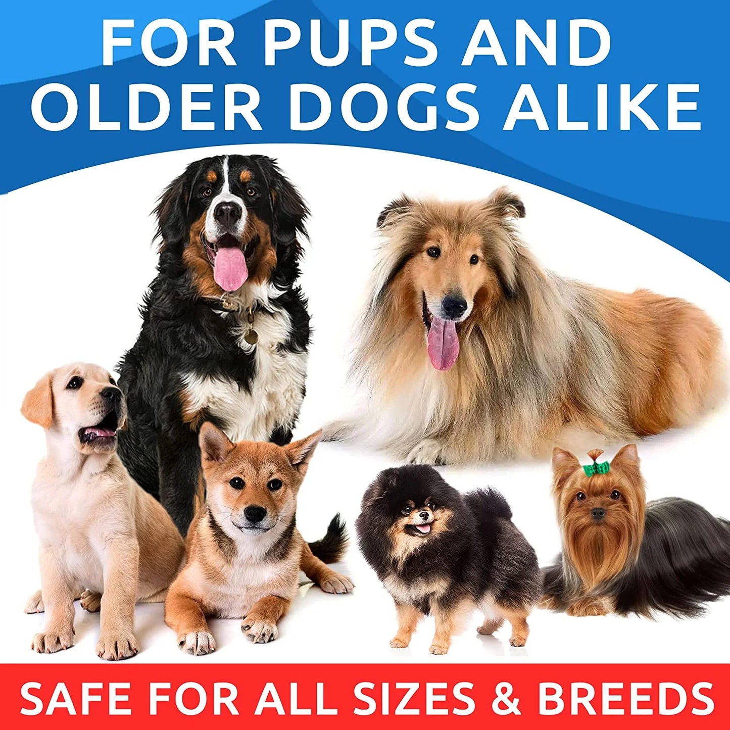 Omega 3 for Dogs - 360 Fish Oil Treats for Dog Shedding, Skin Allergy, Itch Relief, Hot Spots Treatment - Joint Health - Skin and Coat Supplement - EPA & DHA Fatty Acids - Salmon Oil