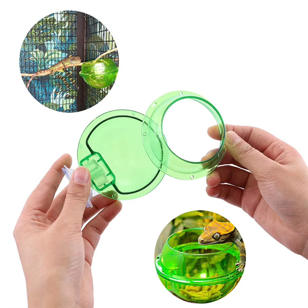 Suction Cup Reptile Feeder, Reptile Water Bowl Worm Dish Gecko Feeder Chameleon Bowl, Reptile Ledge Accessories Supplies