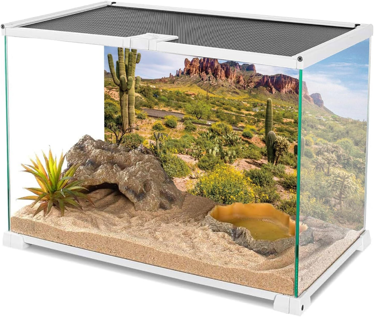 Reptile Habitat Blue Sky Oasis Cactus Gobi Terrarium Background 36X18 Inches Durable Polyester Background