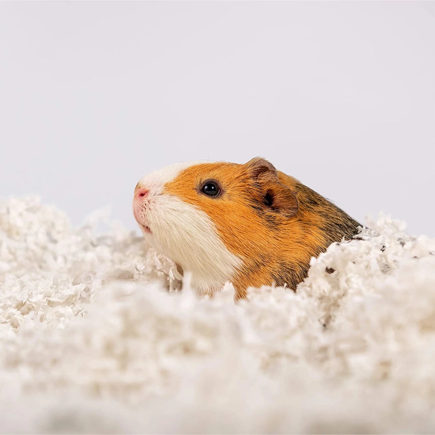 (4 Pack) 36L White Uber Pet Bedding, Hamster, Rabbit, Rat