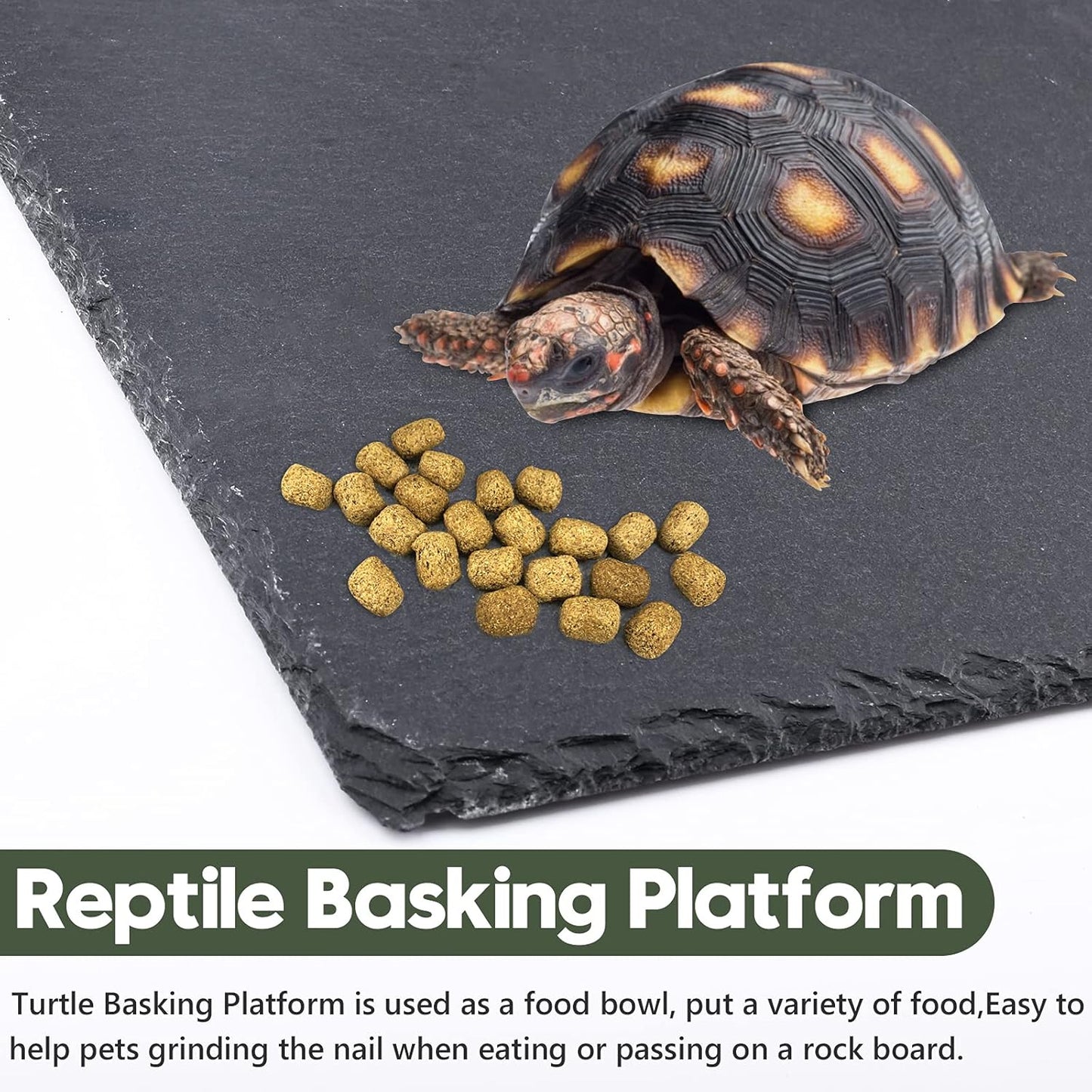 Reptile Basking Platform, Tortoise Feeding Food Dish, Reptile Food Dish Grinding Nail Landscape Habitat Decor for Lizard Bearded Dragon Turtle Crested Gecko Snake(11.8" X 7.9")