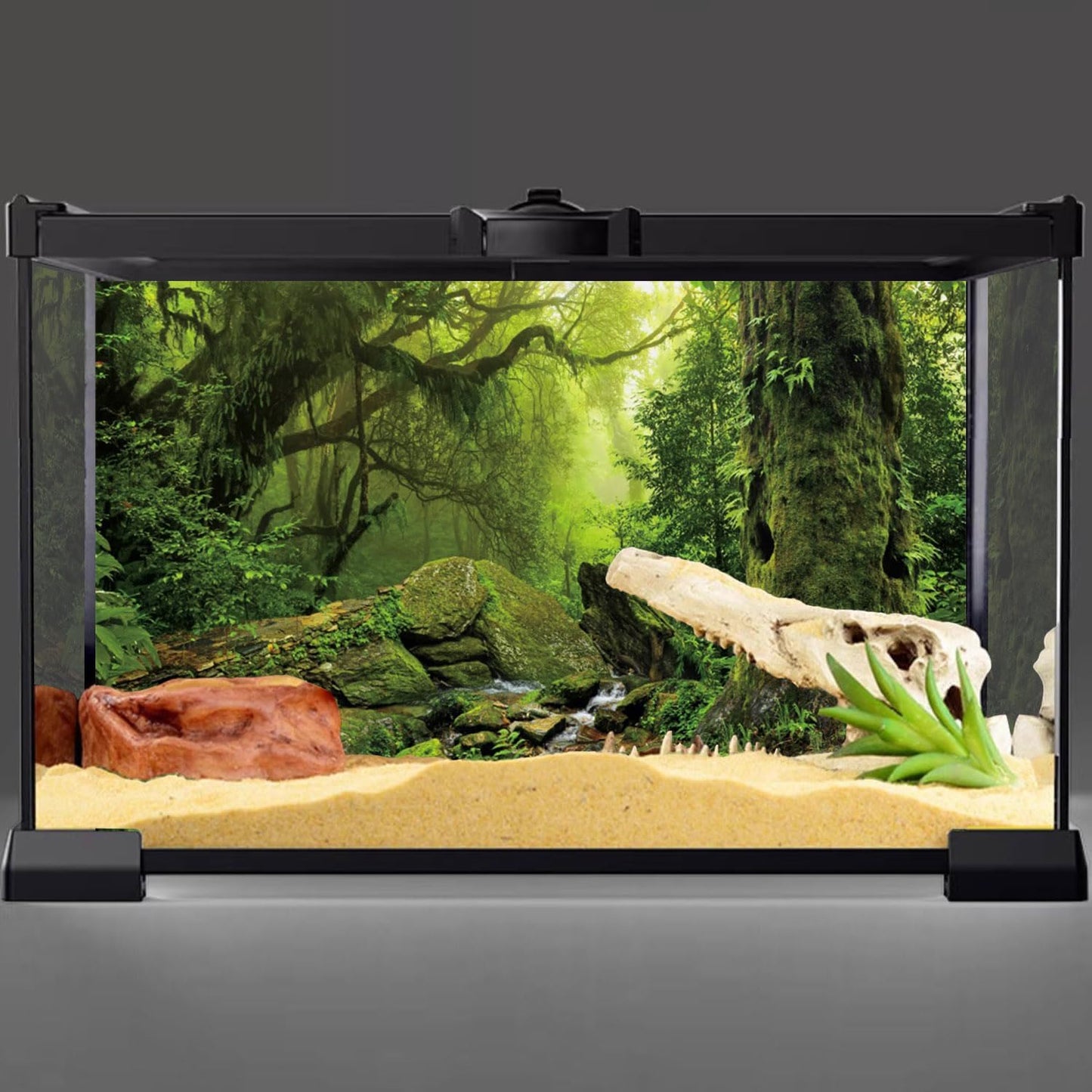 Tropical Forest Terrarium Background Stream Green Huge Tree Reptile Habitat Background Foggy Rainforest Aquarium Background 30X18 Inches Polyester Background