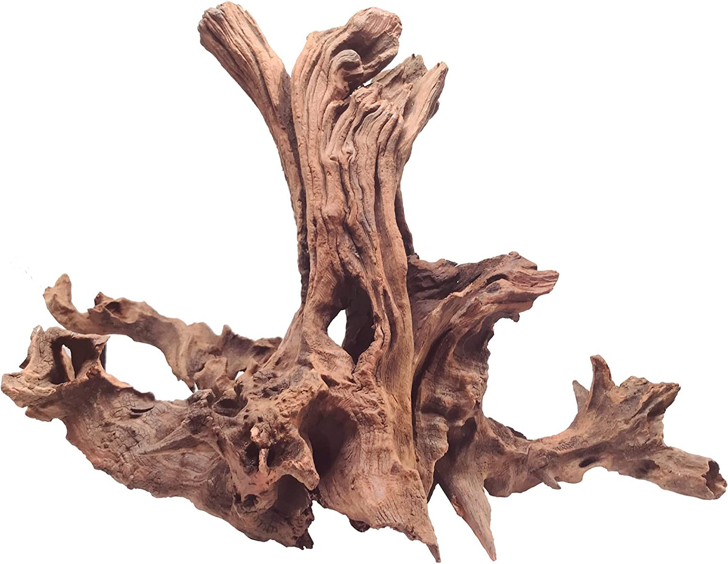 Natural Large Driftwood for Aquarium Decor,13-16 Inch Length Assorted Branches D