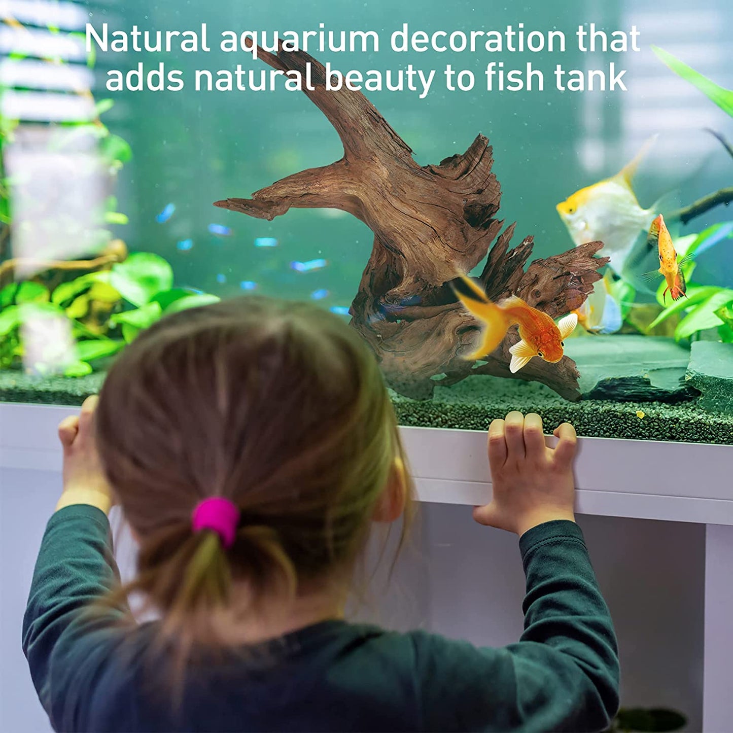 Natural Large Driftwood for Aquarium Decor,13-16 Inch Length Assorted Branches D