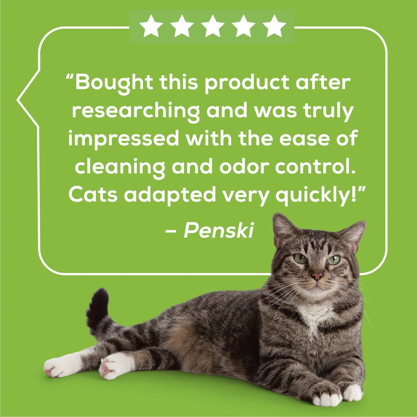 (10 Pack) Breeze Absorbent Cat Litter Pads, 24/7 Odor Control, Refill Pack, 10 Ct. Pouch