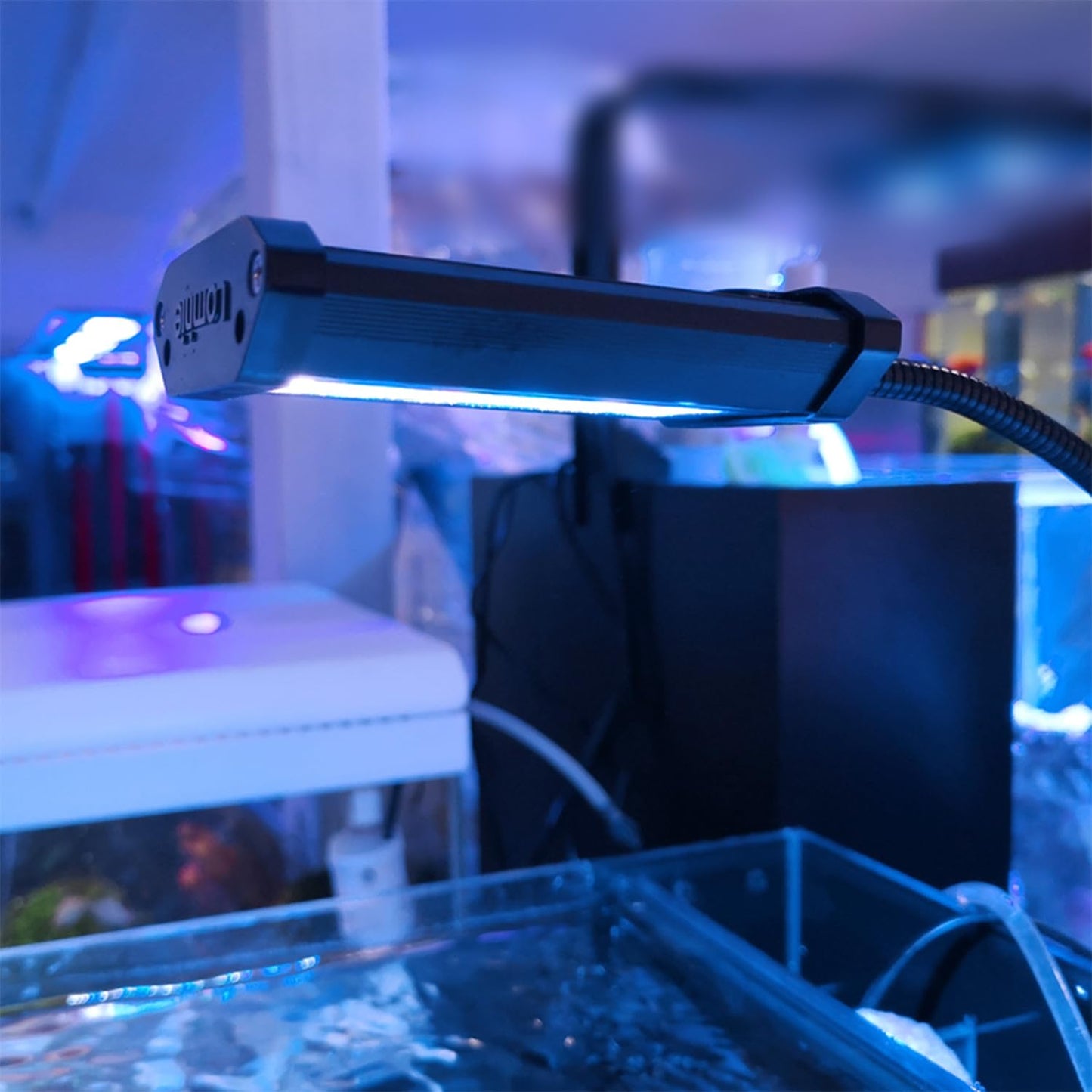 Aquarium Light, Clip on Aquarium Light with Timer, Full Spectrum Nano Fish Tank Light Coral Light for Small Aquarium Saltwater Nano Tank