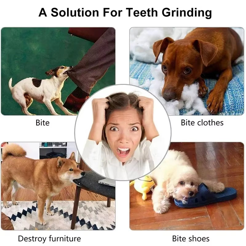 Pet Dog Toys Natural Rubber Food Ball Toy Soft Tooth Clean Treat Ball for Small Dog Cat Interactive Elasticity Puppy Chew Toy