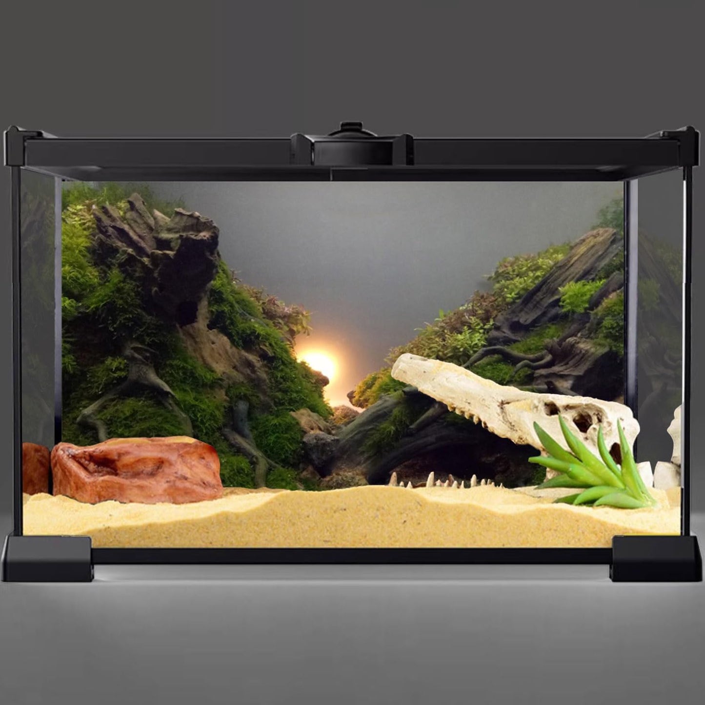 River Bed & Lake Aquarium Background Sunshine Aquatic Plant Fish Tank Background Vinyl 72X18 Inches