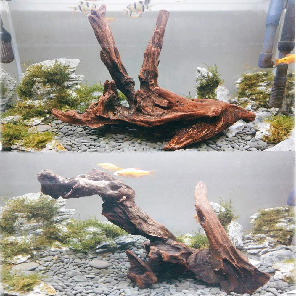 Large Driftwood for Aquarium Fish Tank Decorations Natural Assorted Branches ...