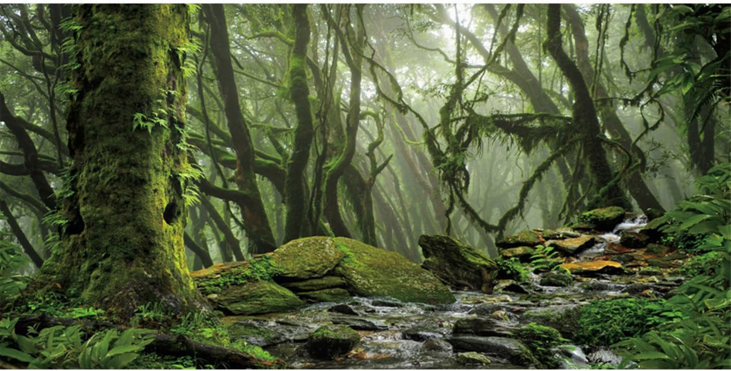 Foggy Forest Terrarium Background Stream Green Huge Tree Reptile Habitat Background Tropical Rainforest Aquarium Background 48X18 Inches Durable Polyester Background