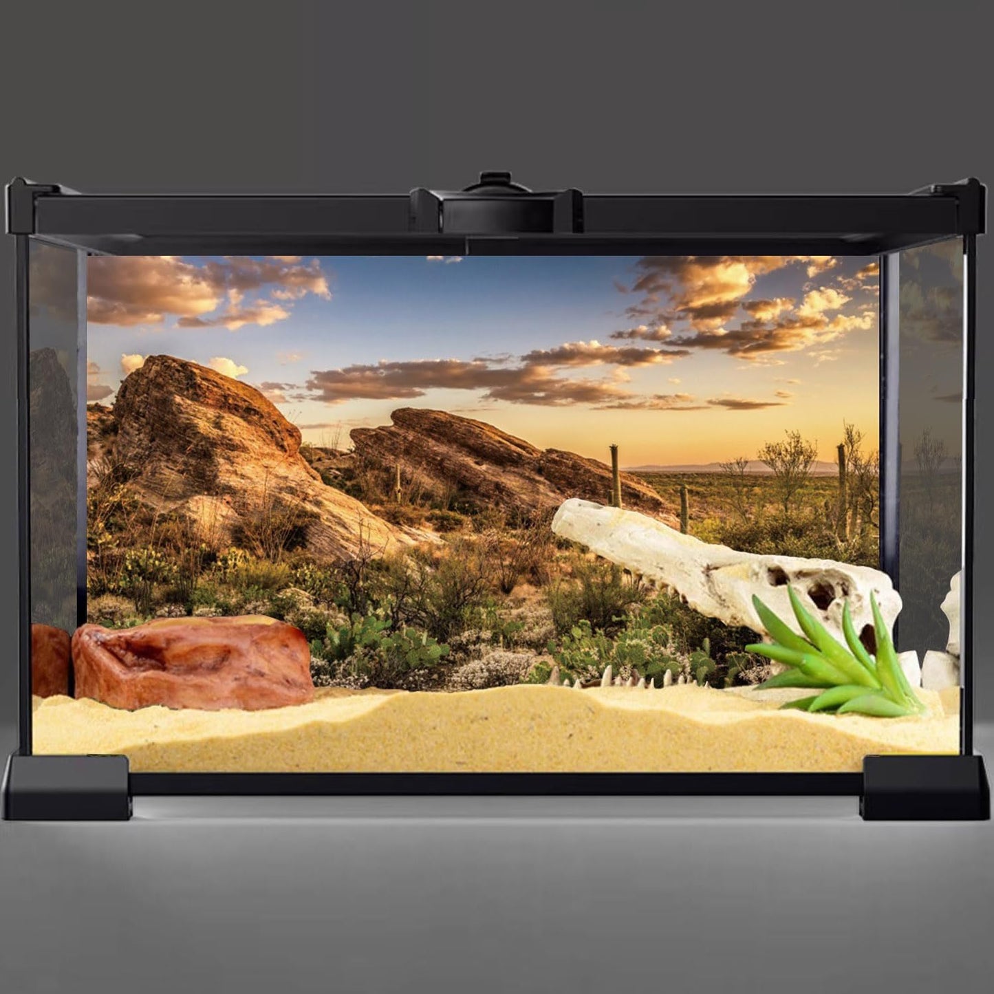 Reptile Habitat Background Blue Sky Oasis Cactus Sun and Desert Terrarium Background 36X24 Inches Durable Polyester Background