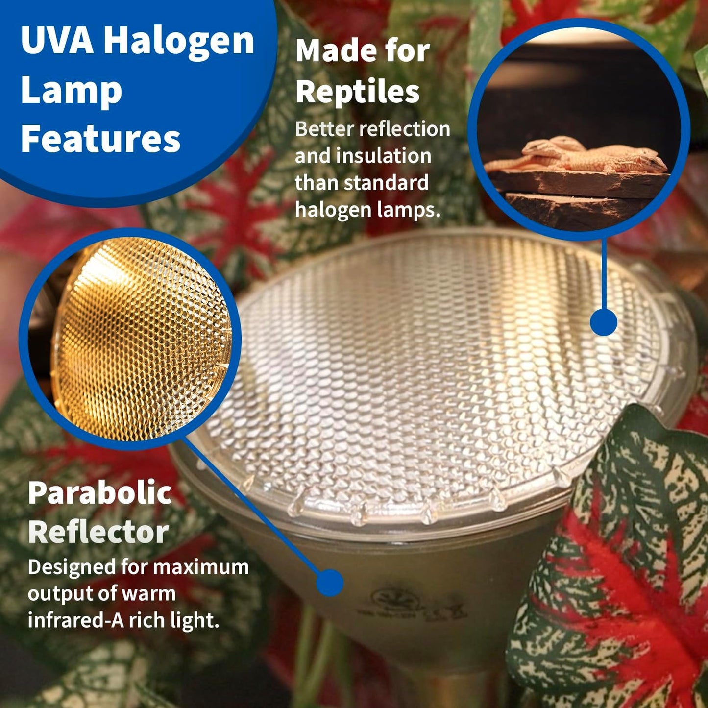 50W Halogen Heat Lamp (4 Pack) for Reptiles - Warming UVA and Infrared Light for Turtles, Tortoises, Bearded Dragons - Heating Bulb Accessories, Designed for Ceramic Sockets (50 Watt)