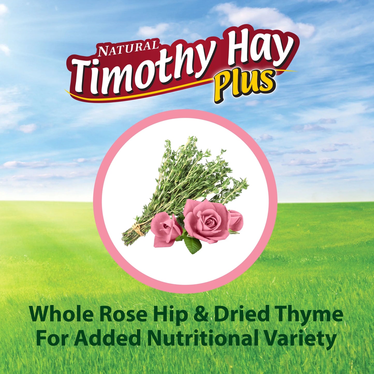 Timothy Hay plus Rose & Thyme 24 Oz