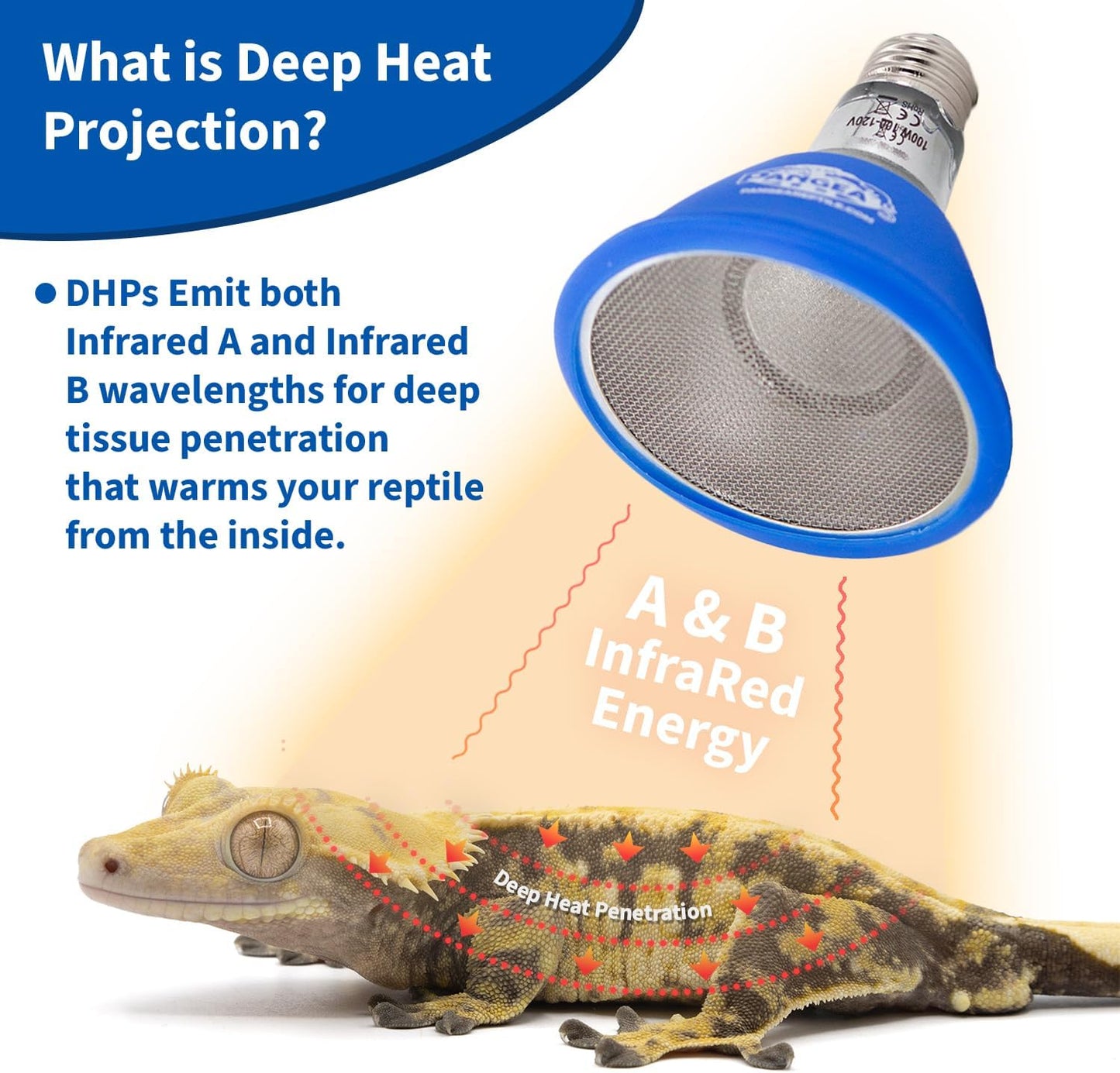 100W Deep Heat Projector for Reptiles with Carbon Fiber Filament, Core Warming Infrared a and B Bulb for Basking Lizards, Designed for Ceramic Sockets (100 Watt)