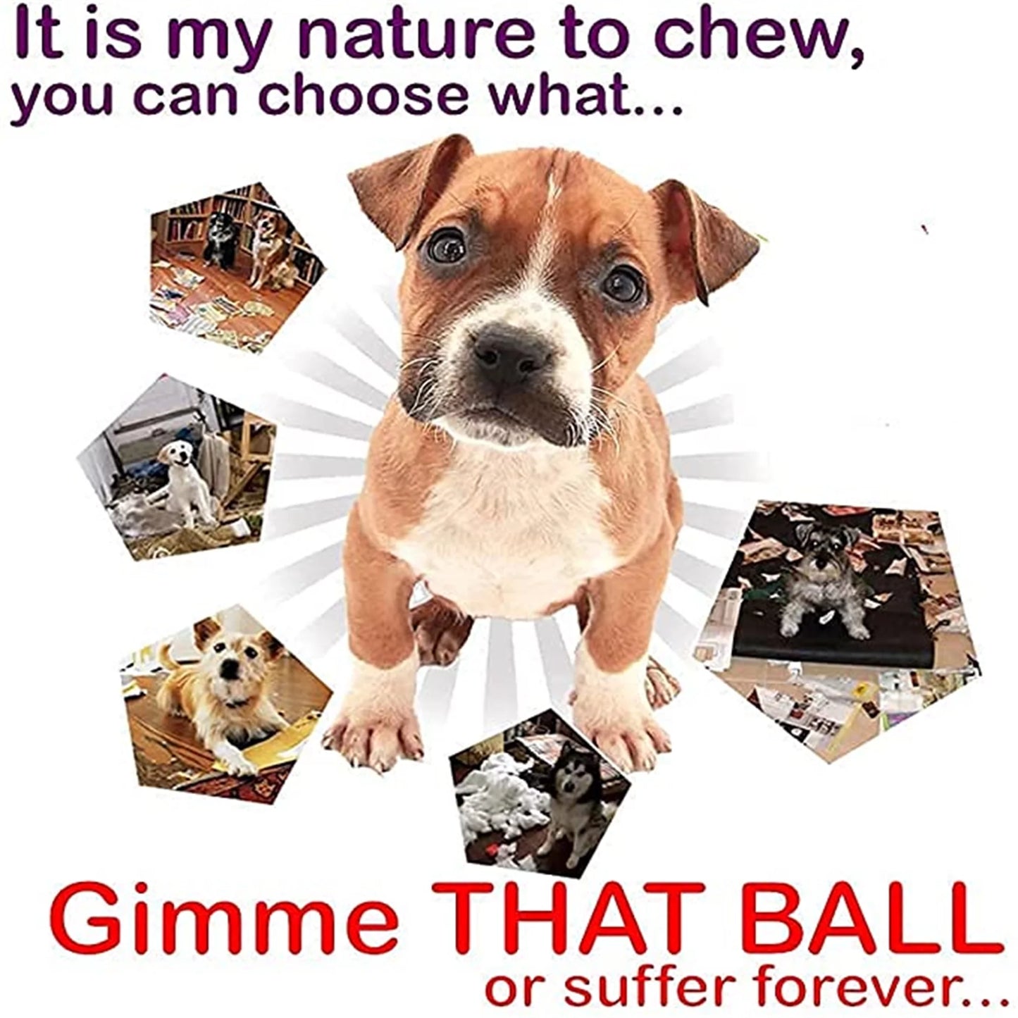 Soft Pet Dog Toy Rubber Dog Ball Toy Elasticity Interactive Toothclean Dog Chew Toy