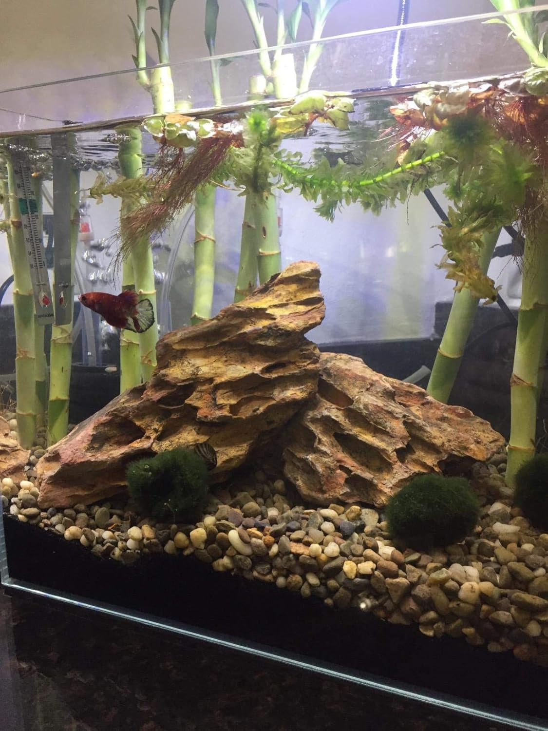 Dragon Stone Rock Aquariums Decoration Aquascaping Stone (7.2 LB)