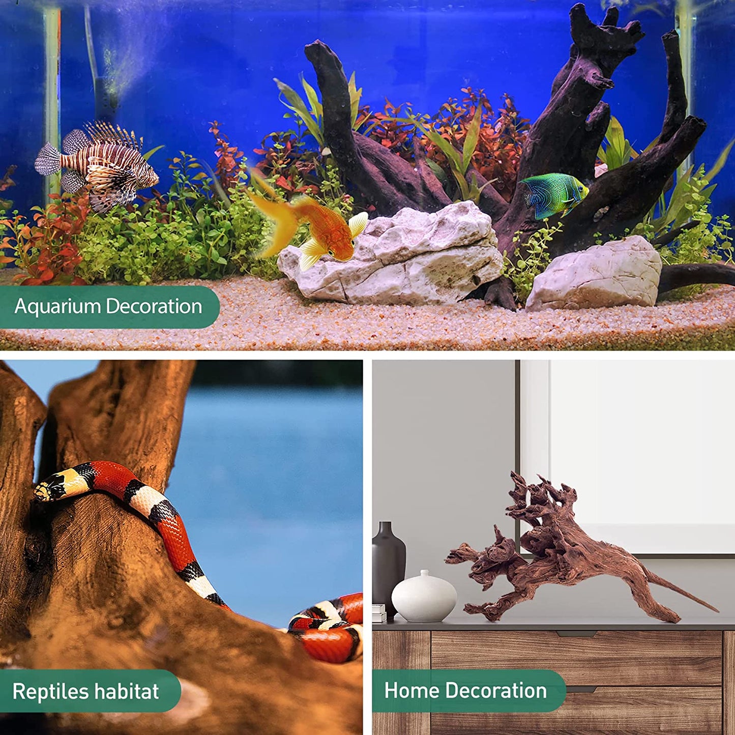 Natural Large Driftwood for Aquarium Decor,13-16 Inch Length Assorted Branches D