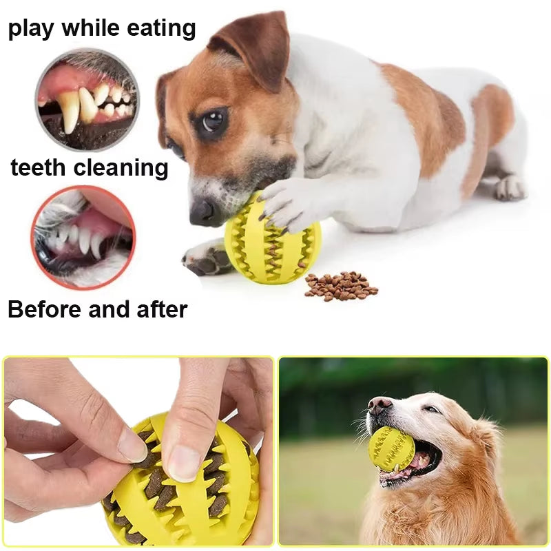 Pet Dog Toys Natural Rubber Food Ball Toy Soft Tooth Clean Treat Ball for Small Dog Cat Interactive Elasticity Puppy Chew Toy