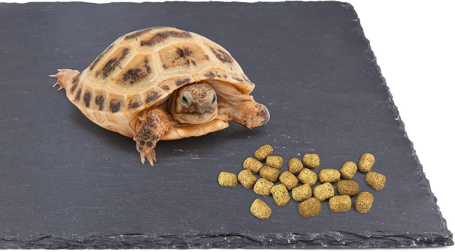 Reptile Basking Platform, Tortoise Feeding Food Dish, Reptile Food Dish Grinding Nail Landscape Habitat Decor for Lizard Bearded Dragon Turtle Crested Gecko Snake(11.8" X 7.9")