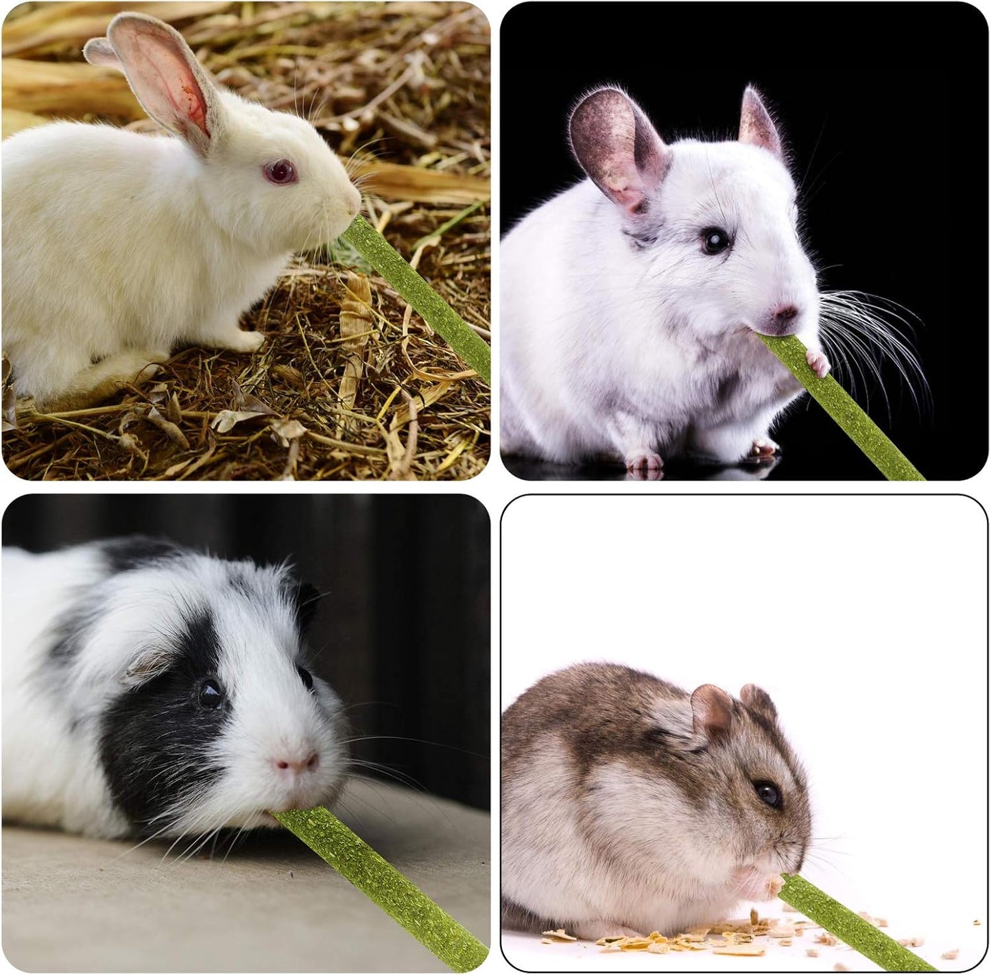 Timothy Hay Sticks for Rabbits Guinea Pig Hamsters Chinchilla Bunny Chew Toys for Teeth Treats Accessories, 20 Count (Pack of 1)