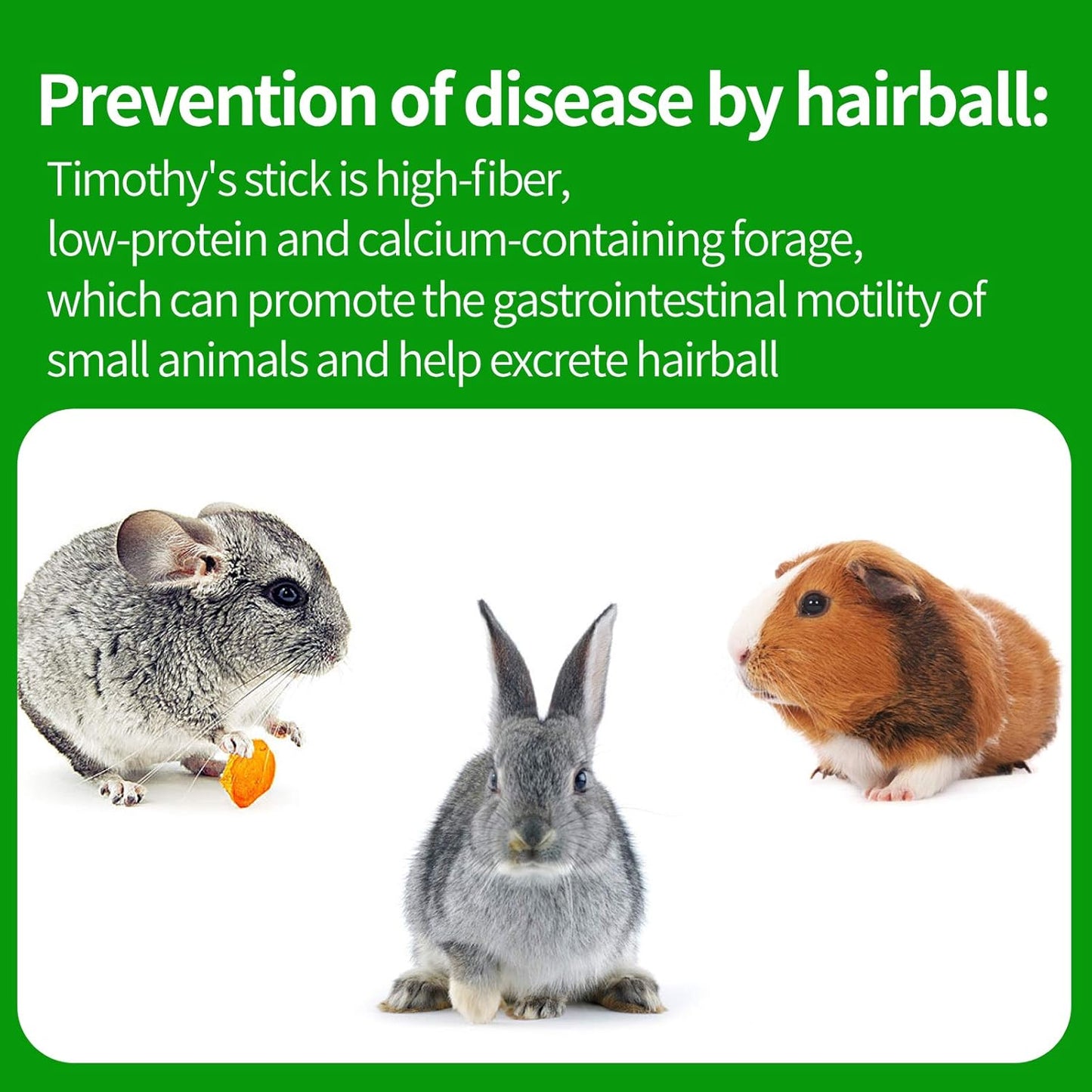 Timothy Hay Sticks for Rabbits Guinea Pig Hamsters Chinchilla Bunny Chew Toys for Teeth Treats Accessories, 20 Count (Pack of 1)