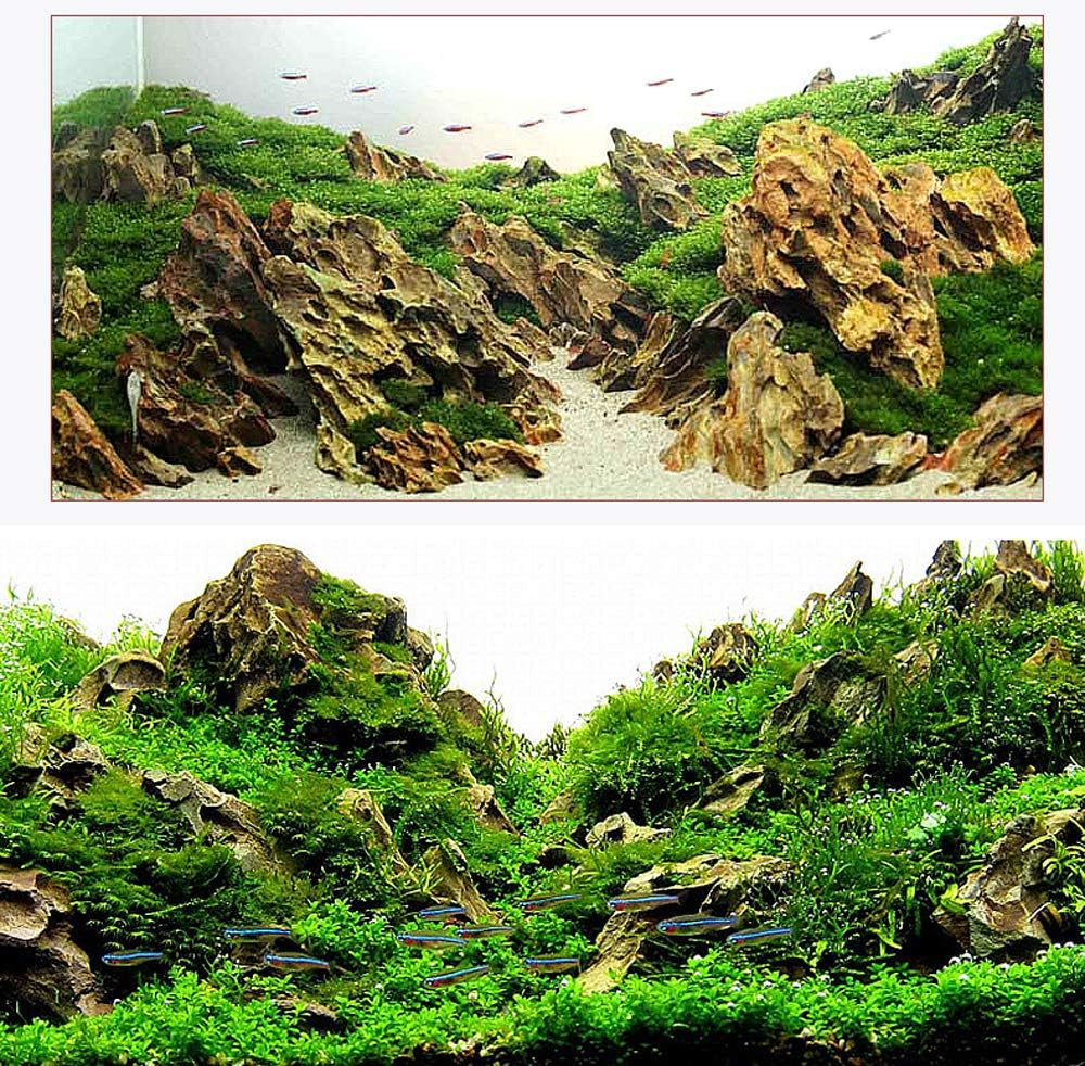 Dragon Stone Rock Aquariums Decoration Aquascaping Stone (7.2 LB)