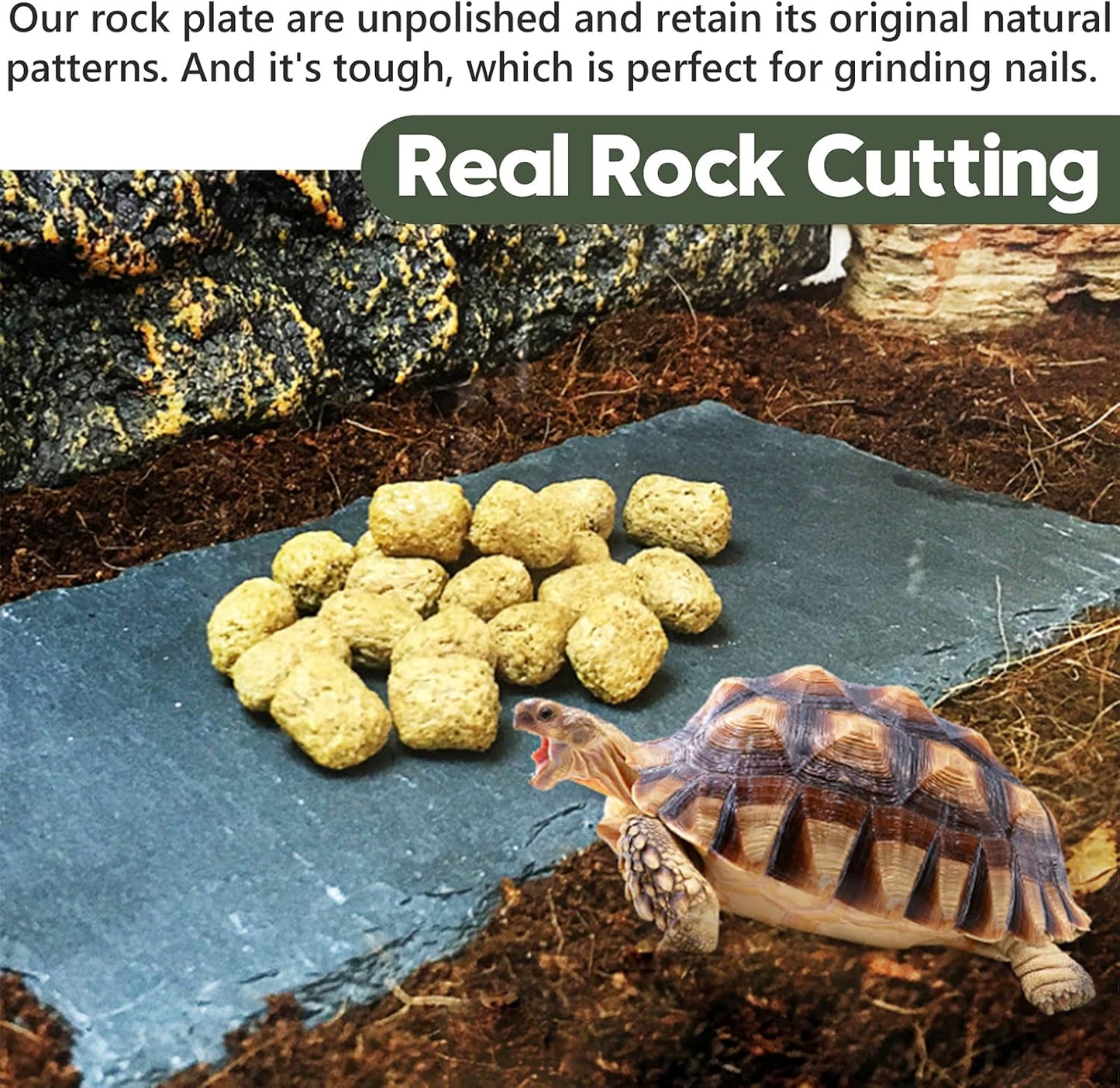 Reptile Basking Platform, Tortoise Feeding Food Dish, Reptile Food Dish Grinding Nail Landscape Habitat Decor for Lizard Bearded Dragon Turtle Crested Gecko Snake(11.8" X 7.9")