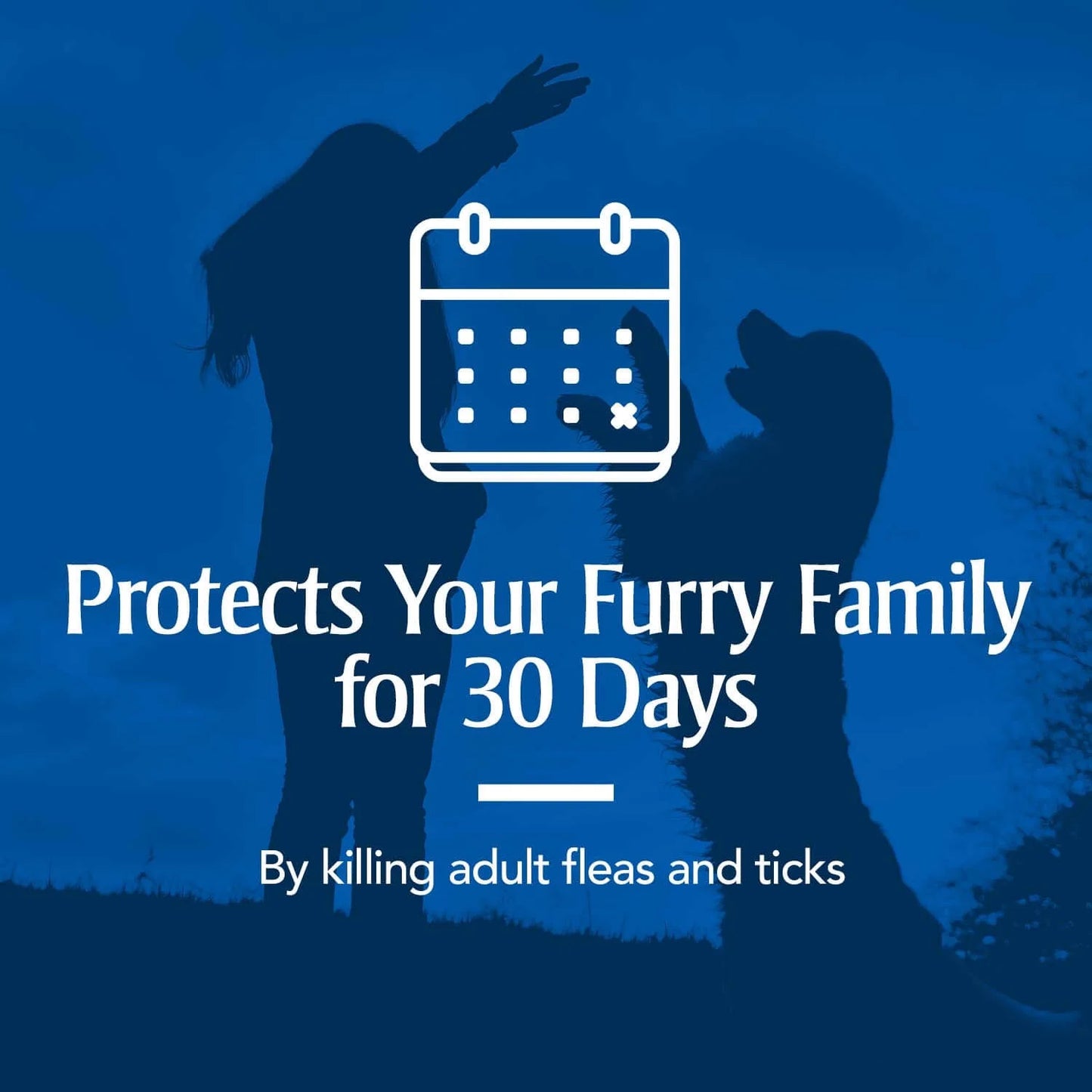 Flea & Tick Treatment for Large Dogs, 45 to 88 Pounds, 3 Monthly Applications