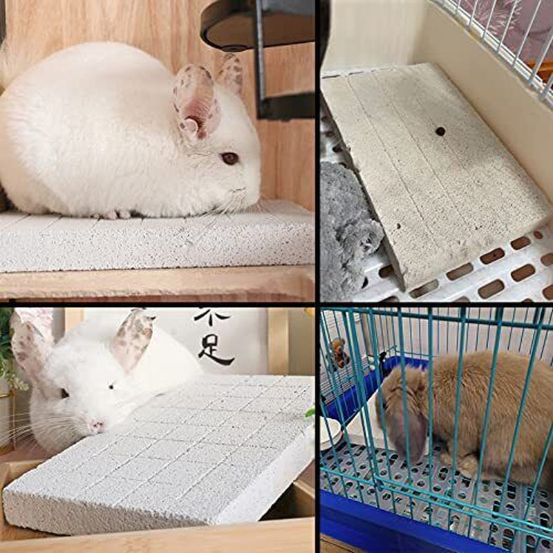 Rabbit Scratch Foot Pads 2Pack Bunny Grinding Claw Pad Small Animals Lava Gri...