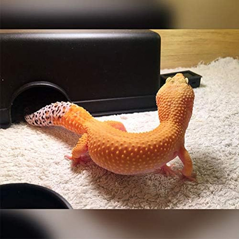 Reptile Hide Box for Gecko & Snake - Feel Secure & Safe, Durable Material, Easy to Clean - Medium (6.9" X 4.9" X 2.9")
